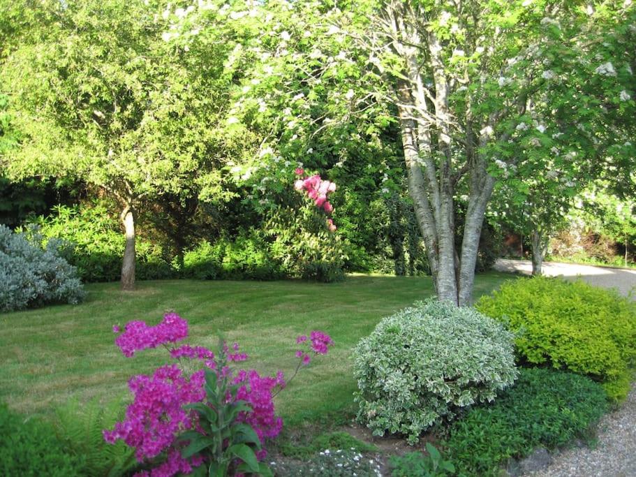 Self Catering Apartment At Beechwalk House. Enniskerry Eksteriør bilde