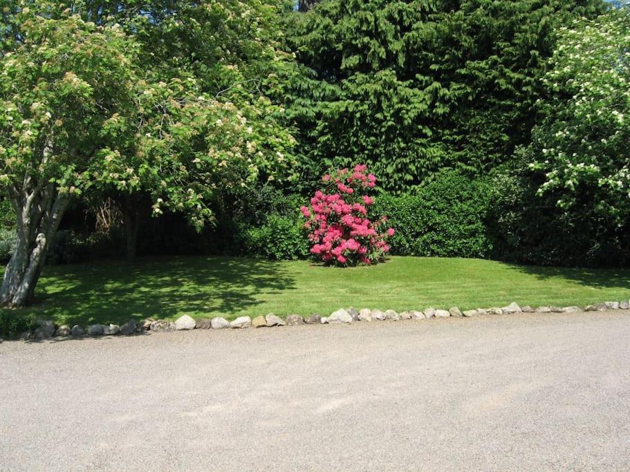 Self Catering Apartment At Beechwalk House. Enniskerry Eksteriør bilde